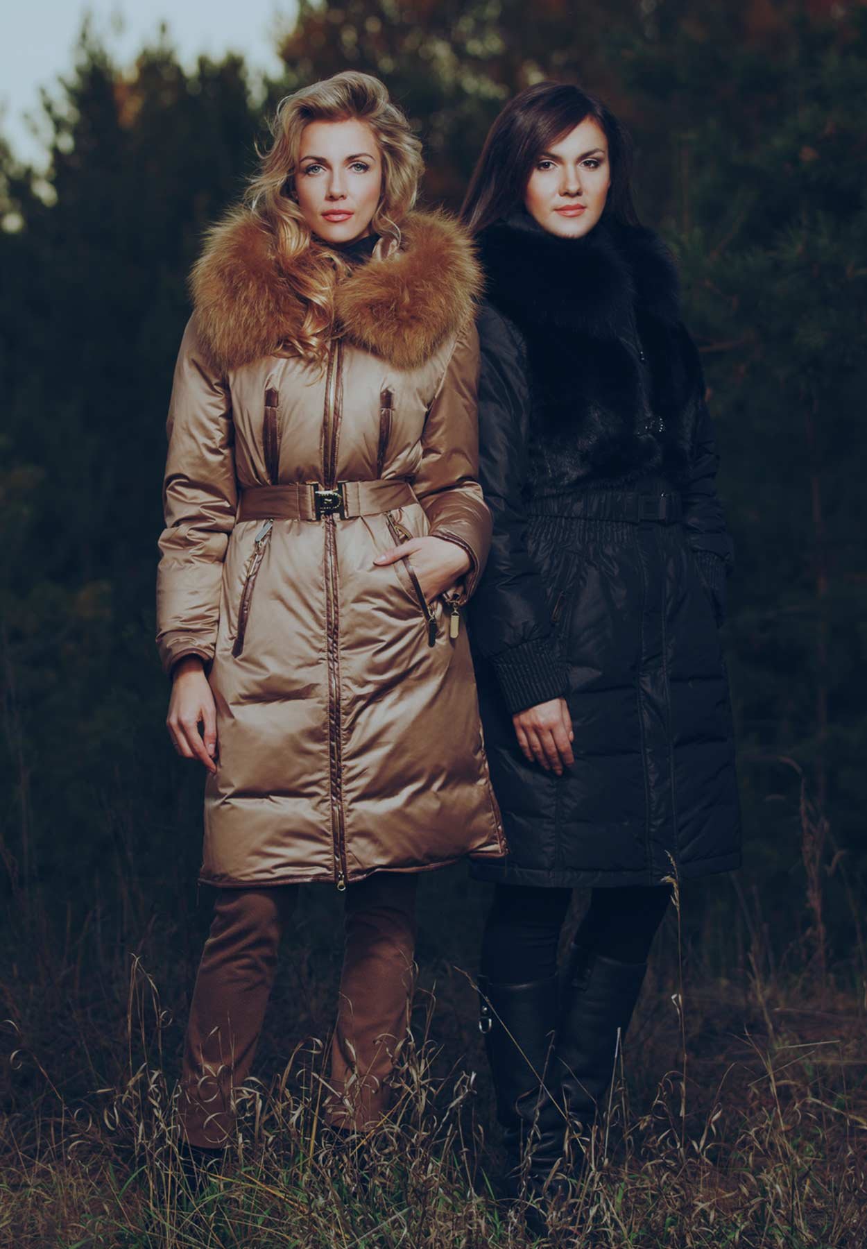 Stylish Women in Field 1